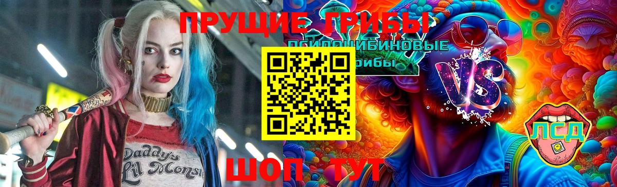 Псков  Псилоцибиновые грибы GOLDEN TEACHER  Вход с VPN 
